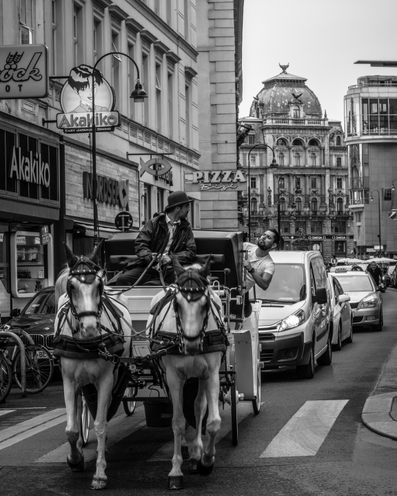 Vienna (Austria)