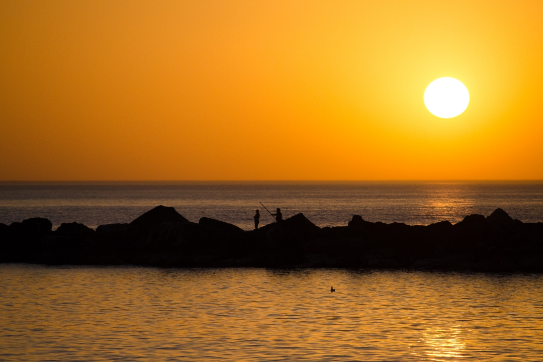 Tel Aviv (Israel)