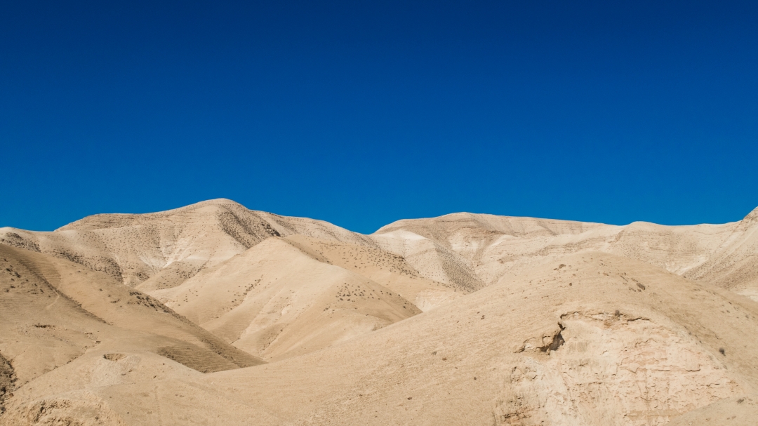Ein Gedi (Israël)