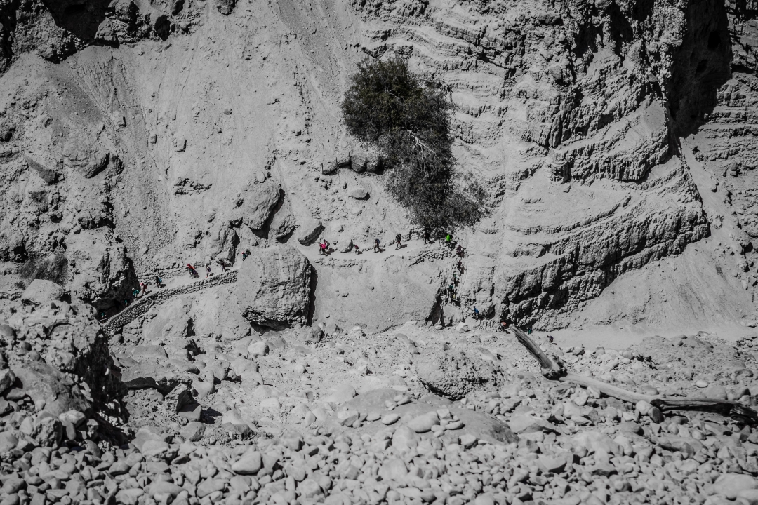 Ein Gedi (Israel)