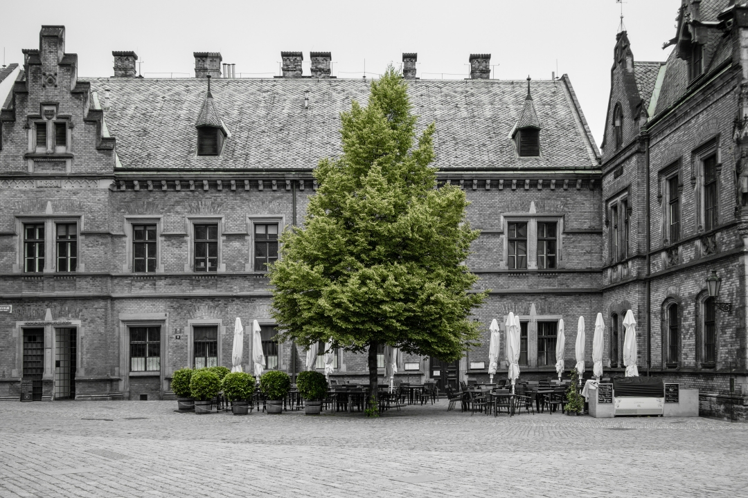 Prague (Czech republic)